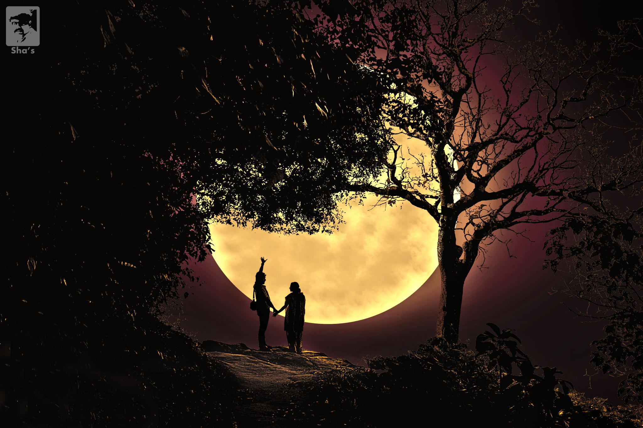 Романтическая прогулка под луной